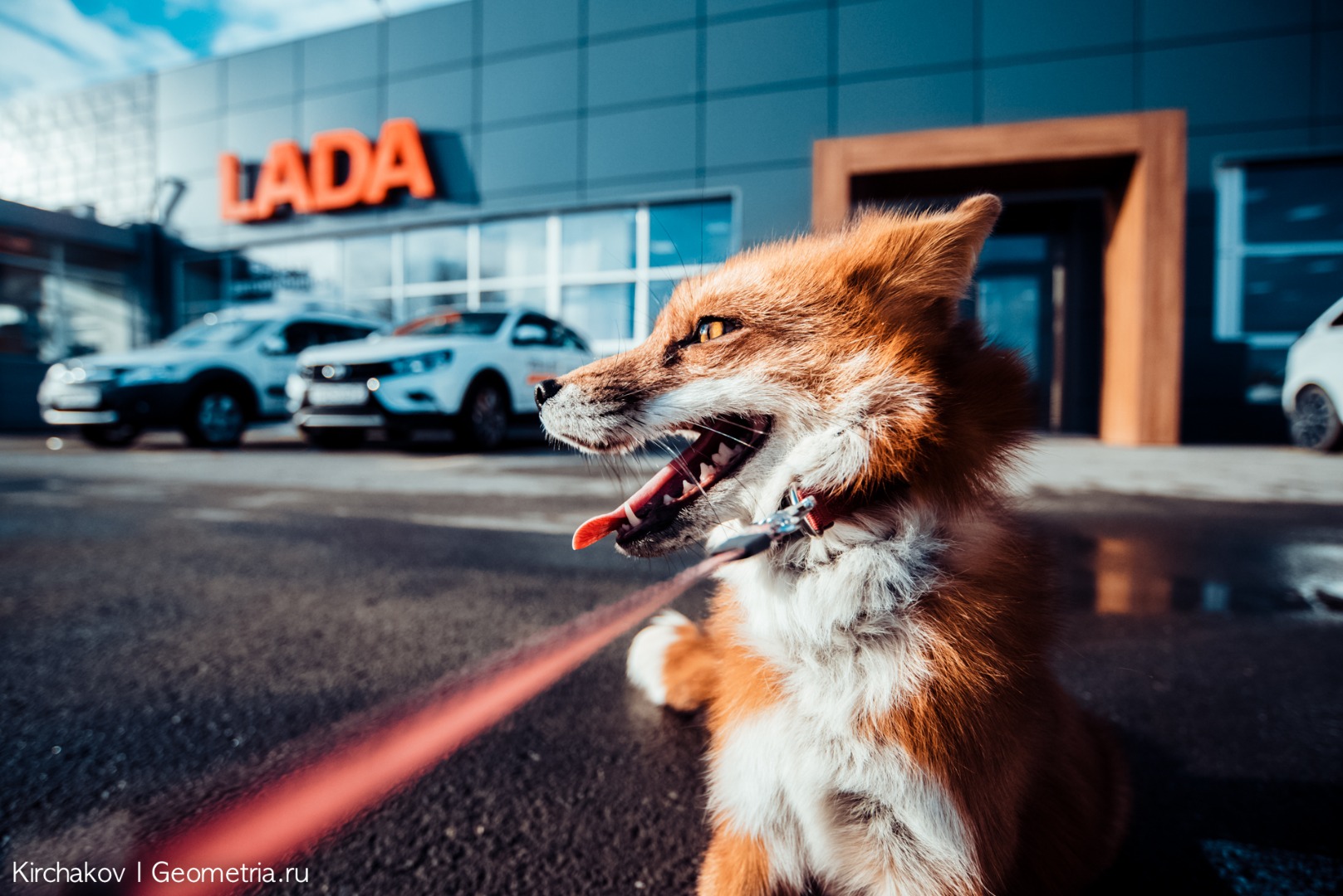 LADA XRAY Cross - презентация нового автомобиля в ''Тюмень-АВТОВАЗ''!
